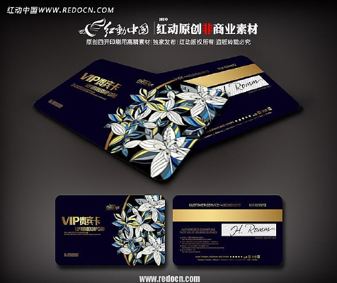 ����VIP�� AI