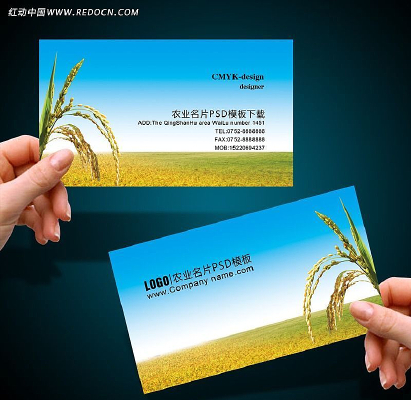 ũҩũ����Ƭ PSD