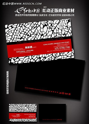 ������Ƭ