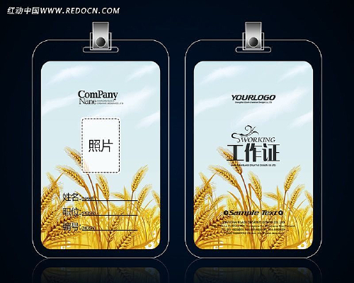 ��Ƶ���С��