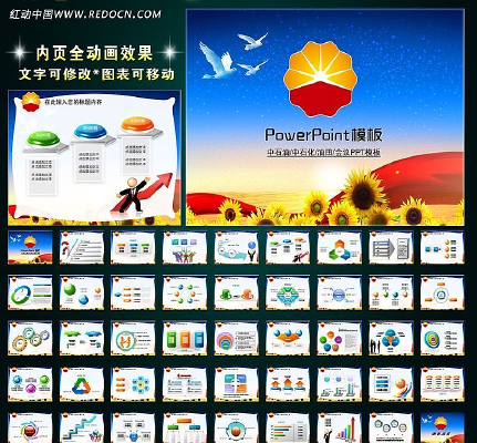 �й�ʯ�����ﱨ������ܽ�ƻ�ҵ��PPT ppt