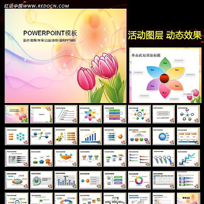 时尚花纹女性美容PPT ppt