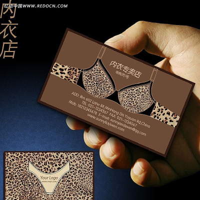 ����ר������Ƭ