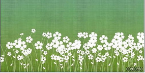 ��ɫ���󱳾�