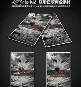 ���Ļ���Ƭ