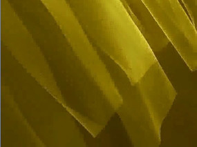 ����Ʈ��