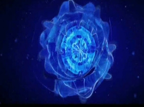 ��̬����