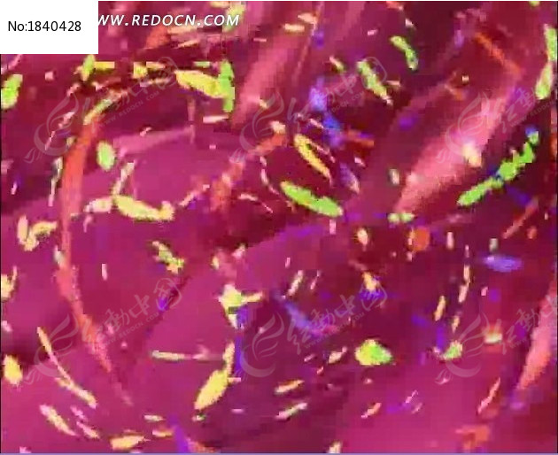 ���Բ����̬��Ƶ�����ز�