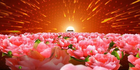 �찲�Ź�â����