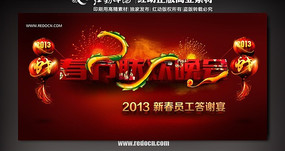 2013��������