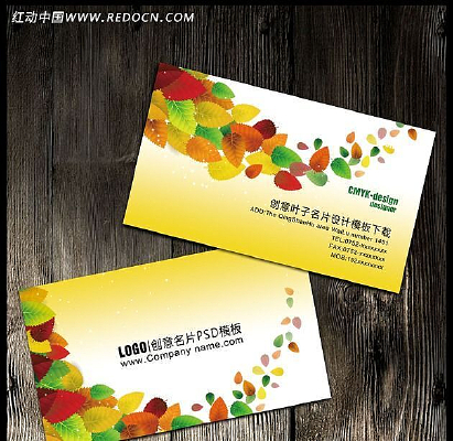 �������Ƭ