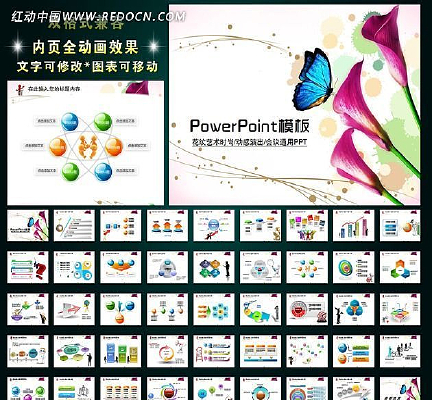 ��ܰ������������ݳ�����PPT�õ�Ƭ ppt