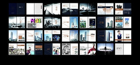 �ز�Ͷ���������� CDR