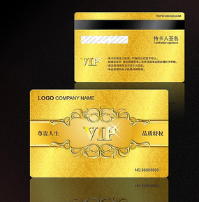 ��ɫ����VIP�� AI