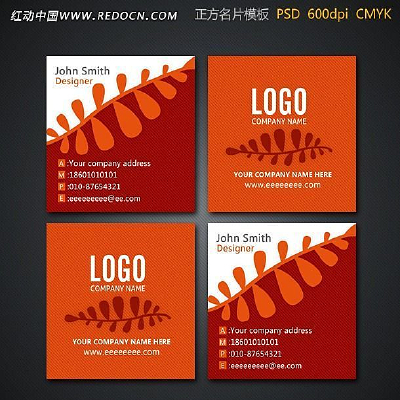 ������Ƭ