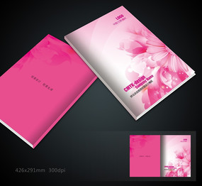 ��ɫ���ݻ������