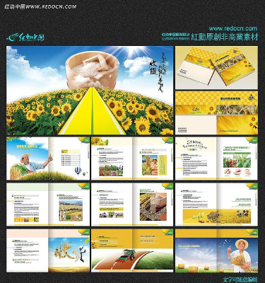 ũ�����ջ�