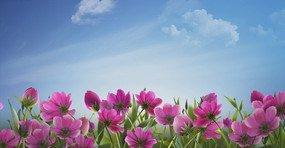 Ұ������