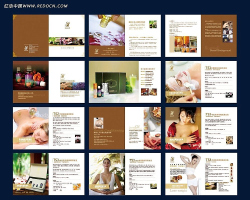 ����������ƻ���