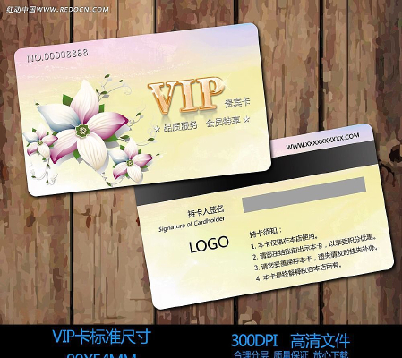 ��ʸ��Ż���vip��Ա����� PSD