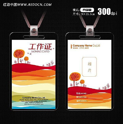 ������Ҷ����֤ PSD