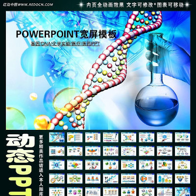 ����DNAҽ��ҽѧҽҩ���н���PPT ppt