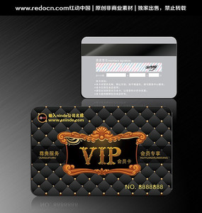 ��ɫŷʽ����VIP��Ա�� AI