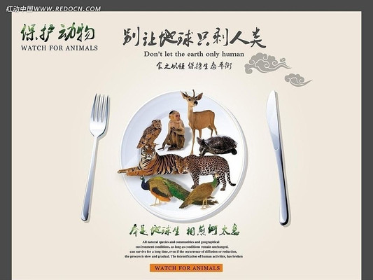 �������﹫������