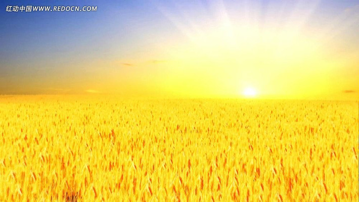 ��ɫ��������