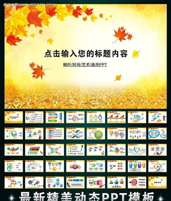 ��Ҷ��������ʱ��PPT ppt