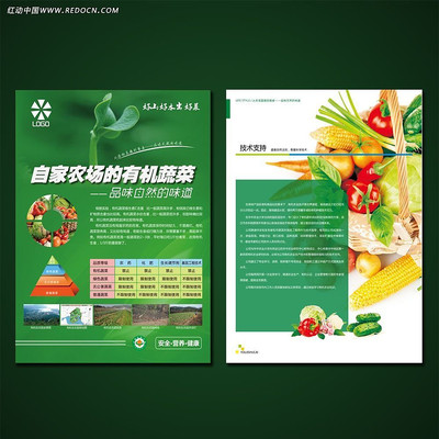 ��ɫ�߲˲�ҳ