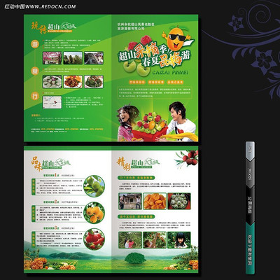 ��ժ��������ҳ