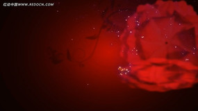 ĵ����������Ƶ