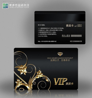 ŷʽ���ƽ�ɫVIP