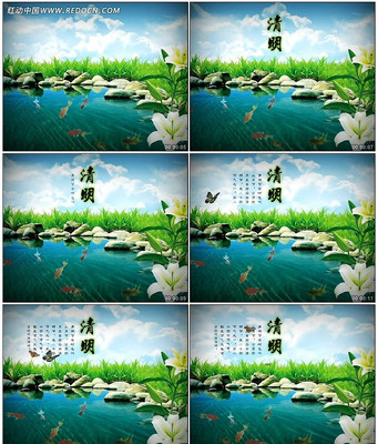 ��������Ƶ mov