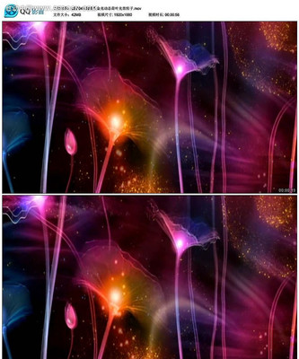 Ψ����Ҷ��Ч������Ƶ���� mov