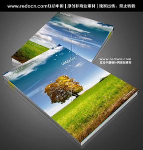 ����Ȼ����