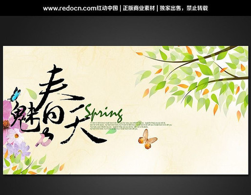 �����ʻ�