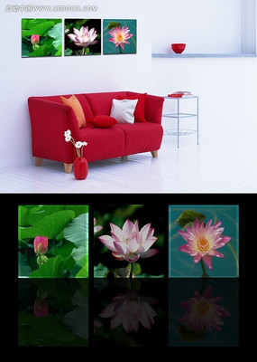 ������ɫ