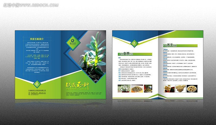 ��Ƥʯ������