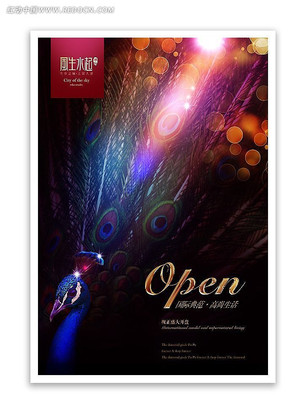 �ݻ��ز����̹�� PSD