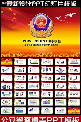 公安局工作总结动态PPT ppt
