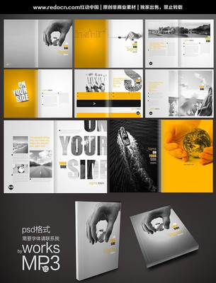 ��˾���������� PSD