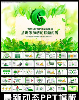 中国烟草局烟草专卖规划报告ppt ppt
