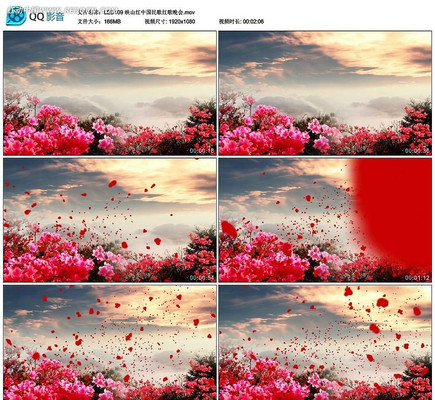 ӳɽ�������Ƶ