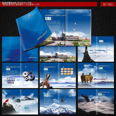 ��ҵ��˾������ CDR