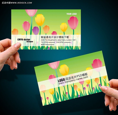 ��������Ƭ