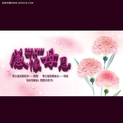 2015��ĸ�׽�