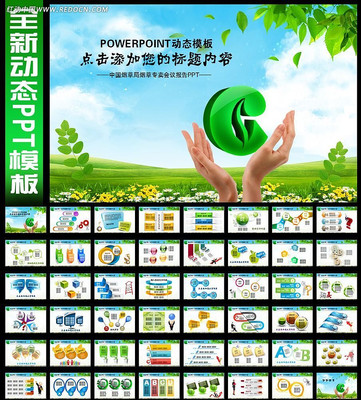 烟草法律法规ppt ppt