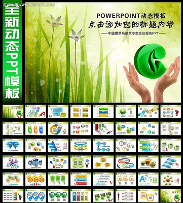 中国烟草局烟草专卖规划发展会议ppt ppt